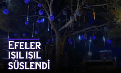 Efeler, ışıl ışıl süslendi