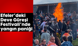 Efeler’deki Deve Güreşi Festivali’nde yangın paniği