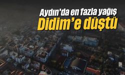 Aydın’da en fazla yağış Didim’e düştü