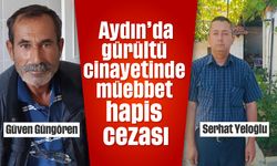 Aydın'daki gürültü cinayetinde müebbet hapis cezası