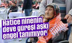 Hatice ninenin deve güreşi aşkı, engel tanımıyor