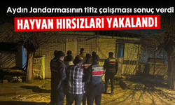 Aydın Jandarmasının titiz çalışması sonuç verdi, hayvan hırsızları yakalandı