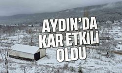 Aydın'da kar etkili oldu