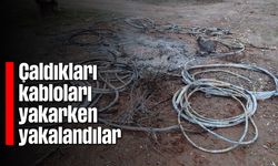 Çaldıkları kabloları yakarken yakalandılar