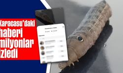 Karacasu'daki haberi milyonlar izledi