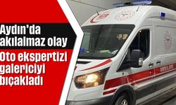 Aydın’da akılalmaz olay: Oto ekspertizi galericiyi bıçakladı