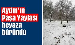 Aydın’ın Paşa Yaylası beyaza büründü