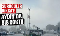 Aydın’da ‘sis’ çöktü