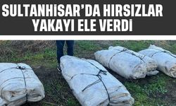 Sultanhisar'da hırsızlar yakayı ele verdi