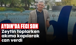 Aydın’da feci son: Zeytin toplarken akıma kapılarak can verdi