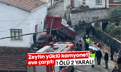 Zeytin yüklü kamyonet eve çarptı: 1 ölü, 2 yaralı