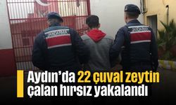 Aydın'da 22 çuval zeytin çalan hırsız yakalandı