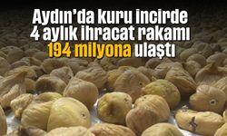 Aydın'da kuru incirde 4 aylık ihracat rakamı 194 milyona ulaştı