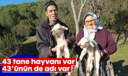 43 tane hayvanı var, 43'ünün de adı var