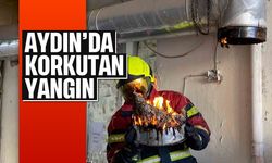 Aydın'da korkutan yangın