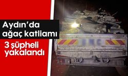 Aydın’da ağaç katliamı, 3 şüpheli yakalandı