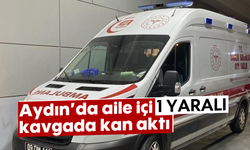 Aydın'da aile içi kavgada kan aktı: 1 yaralı