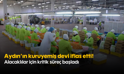 Aydın'ın kuruyemiş devi iflas etti! Alacaklılar için kritik süreç başladı