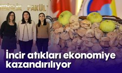 İncir atıkları ekonomiye kazandırılıyor