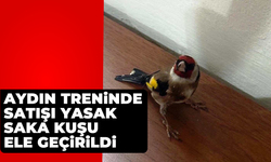 Aydın treninde satışı yasak saka kuşu ele geçirildi