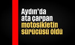 Aydın'da ata çarpan motosikletin sürücüsü öldü