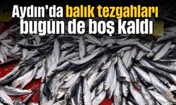 Aydın'da balık tezgahları bugün de boş kaldı