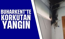 Buharkent'te korkutan yangın