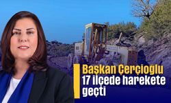 Başkan Çerçioğlu, 17 ilçede harekete geçti