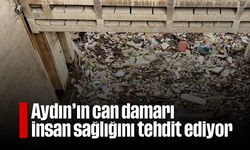 Aydın'ın can damarı insan sağlığını tehdit ediyor