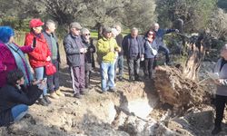 Çevreciler Caferli'nin kalbinde toplandı