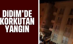 Didim'deki yangın korkuttu