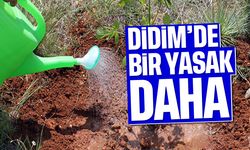 Didim'de bir yasak daha!