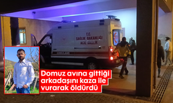 Domuz avına gittiği arkadaşını kaza ile vurarak öldürdü