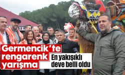 Germencik’te rengarenk yarışma: En yakışıklı deve belli oldu