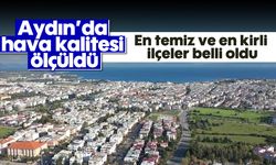 Aydın'da hava kalitesi ölçüldü: En temiz ve en kirli ilçeler belli oldu