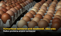 Yumurtaya zamların ardı kesilmedi, lüks oldu! Halkın proteine erişimi zorlaşıyor