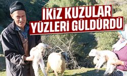 Ana kuzusu ikizlerin yürek ısıtan görüntüsü