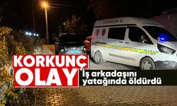 Korkunç olay: İş arkadaşını yatağında öldürdü