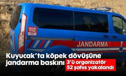 Kuyucak’ta köpek dövüşüne jandarma baskını