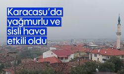 Karacasu'da yağmurlu ve sisli hava etkili oldu