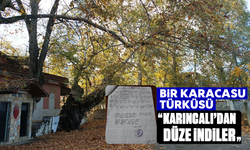 Bir Karacasu türküsü: "Karıncalı'dan düze indiler"'