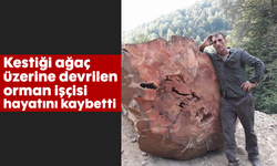 Kestiği ağaç üzerine devrilen orman işçisi hayatını kaybetti