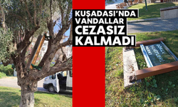 Kuşadası’nda vandallar cezasız kalmadı