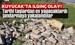 Tarihi taşlardan ev yapacaklardı, jandarmaya yakalandılar