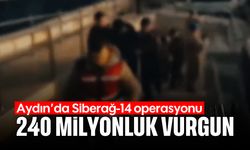 Aydın'da 240 milyonluk vurgun