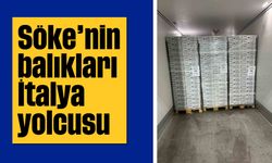 Söke’nin balıkları, İtalya yolcusu