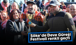 Söke’de Deve Güreşi Festivali renkli geçti