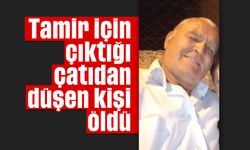 Tamir için çıktığı çatıdan düşen kişi öldü