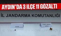 Aydın’da 3 ilçe 11 gözaltı