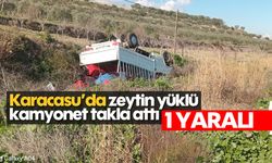 Karacasu'da zeytin yüklü kamyonet takla attı: 1 yaralı